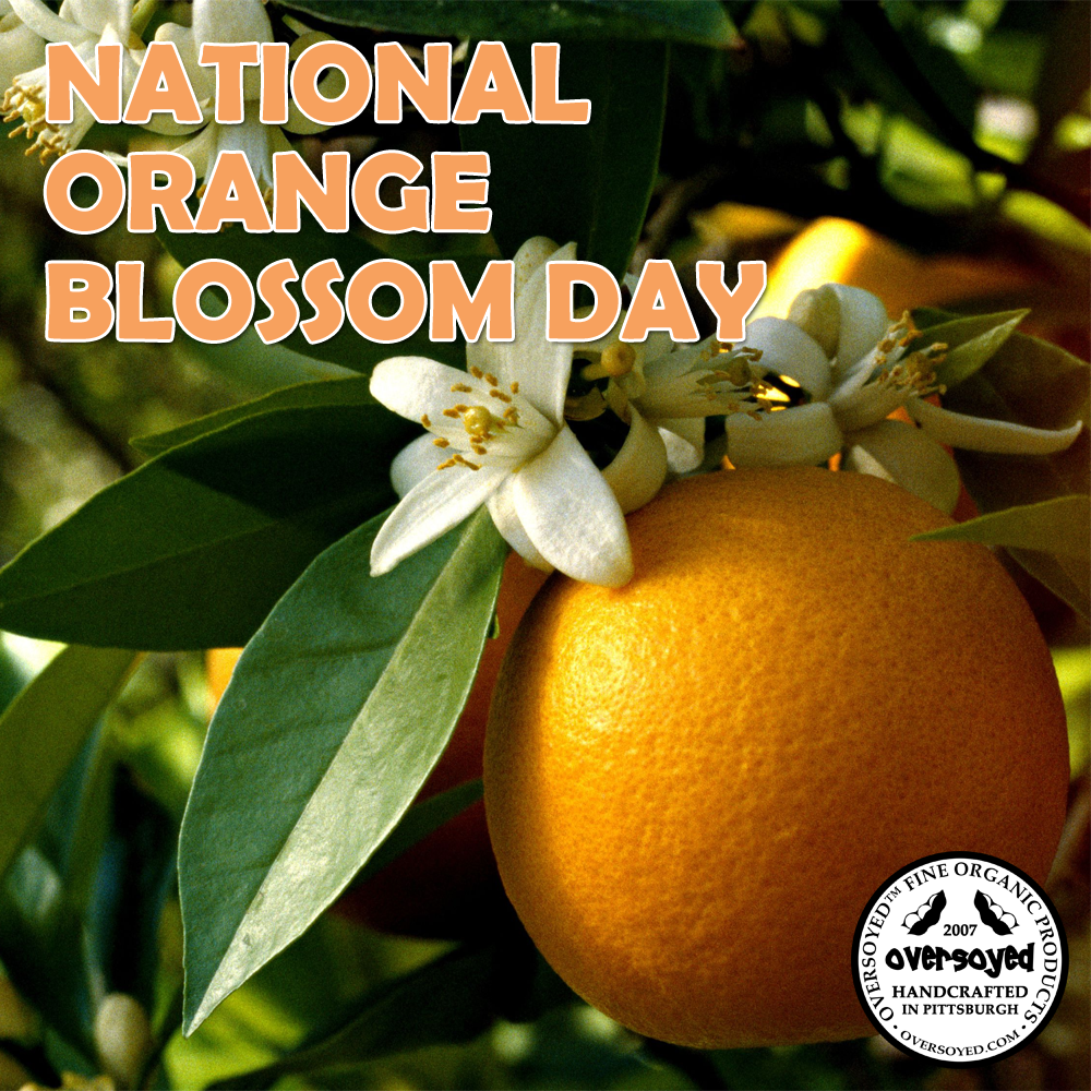 National Orange Blossom Day Oversoyed Fine Organic Products