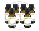 Artisan Handcrafted Fragrance Warmer & Diffuser Oil Mega Bundle
