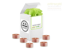 Coconut Milk & Papaya Artisan Hand Poured Soy Tealight Candles