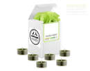 Sparkling Pine Artisan Hand Poured Soy Tealight Candles