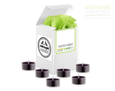 Holly Berry & Plum Artisan Hand Poured Soy Tealight Candles