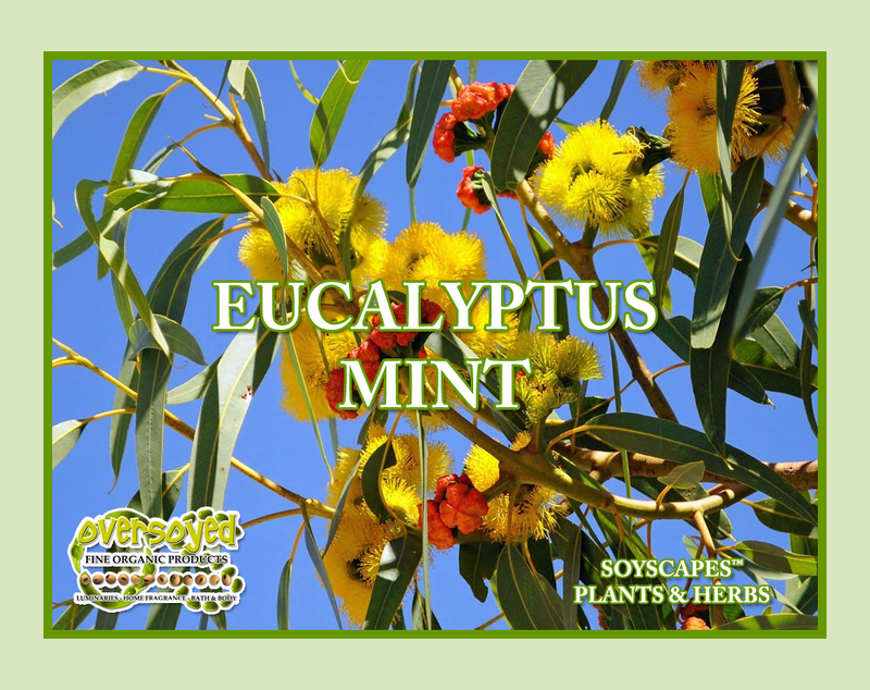 Eucalyptus Mint Artisan Handcrafted Exfoliating Soy Scrub & Facial Cleanser