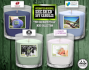 You Can Have It All She Shed™ Hand Poured Soy Tumbler Candle Mini Collection