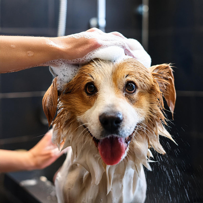 OverSoyed Artisan Handcrafted Products - Poshly Pampered Pets™ Artisan Handcrafted Pet Care