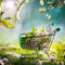 OverSoyed Artisan Handcrafted Products - April 2025 Sitewide Sale