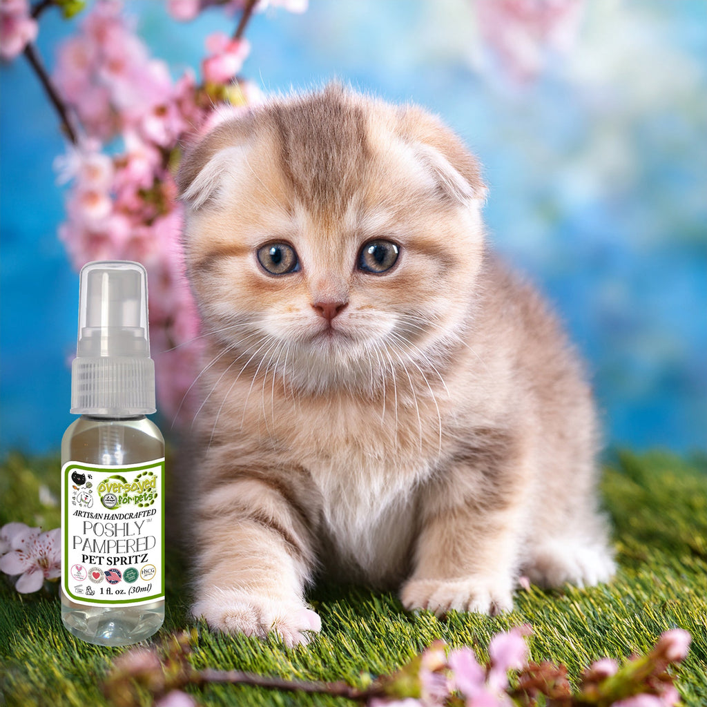 Poshly Pampered™ Pet Grooming Spritz is a Must-Have for Your Furry Fri ...