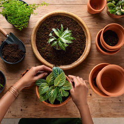OverSoyed Artisan Handcrafted Products - Gardener's Scrub