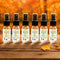 OverSoyed Artisan Handcrafted - Fall Fantasia Artisan Handcrafted Body Spritz™ After Bath Splash Mini Spritzer Bundle