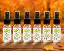 Fall Fantasia Artisan Handcrafted Body Spritz™ After Bath Splash Mini Spritzer Bundle