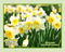 Daffodil Poshly Pampered™ Artisan Handcrafted Deodorizing Pet Spritz