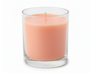 Pineapple Mango Coconut Hand Poured Soy Tumbler Candle