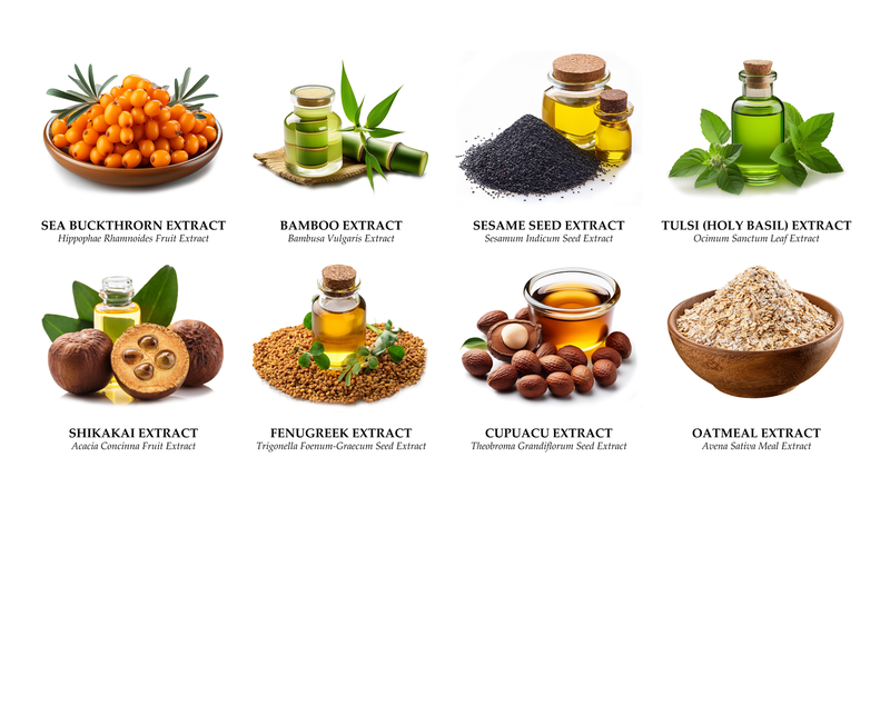 Country Orange Spice Poshly Pampered™ Artisan Handcrafted Deodorizing Pet Spritz
