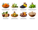 Cinnamon Pumpkin Smoothie Poshly Pampered™ Artisan Handcrafted Deodorizing Pet Spritz