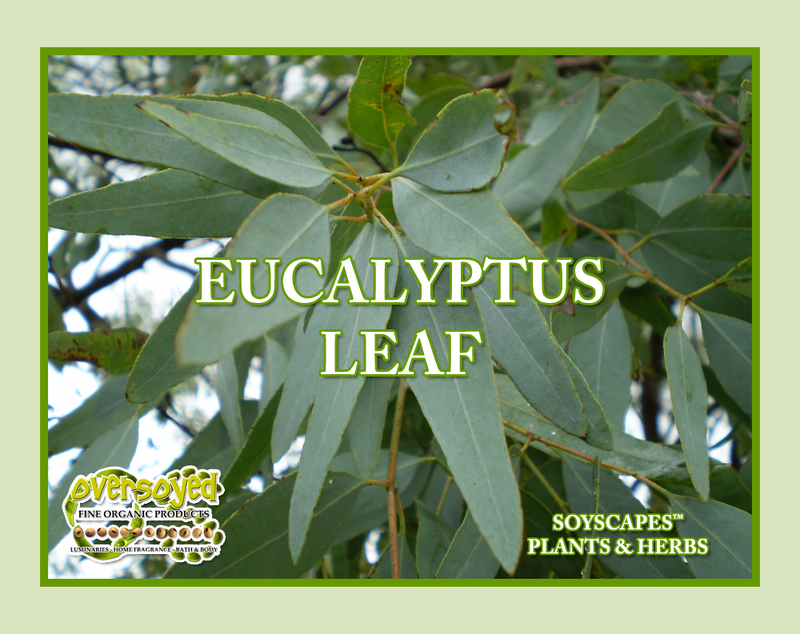 Eucalyptus Leaf Handcrafted Natural Antiseptic Liquid Hand Soap