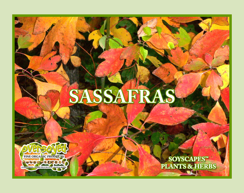 Sassafras Artisan Handcrafted Body Wash & Shower Gel