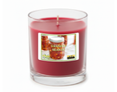 Canning Season Artisan Hand Poured Soy Tumbler Candle