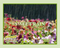 Sweet Rain Shadoobz™ Scented Deodorizing Toilet Spray