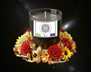 Leo Zodiac Astrological Sign Hand Poured Soy Tumbler Candle
