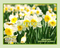 Daffodil Artisan Handcrafted Fragrance Warmer & Diffuser Oil