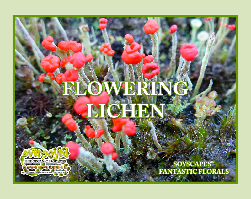 Flowering Lichen Artisan Handcrafted Natural Organic Eau de Parfum Solid Fragrance Balm