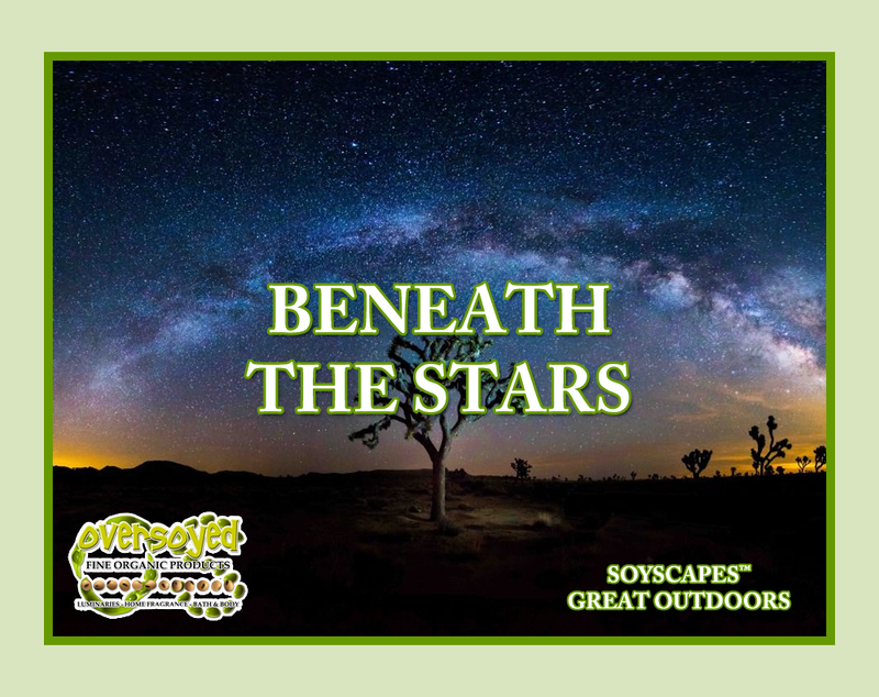 Beneath The Stars Artisan Handcrafted Fragrance Reed Diffuser