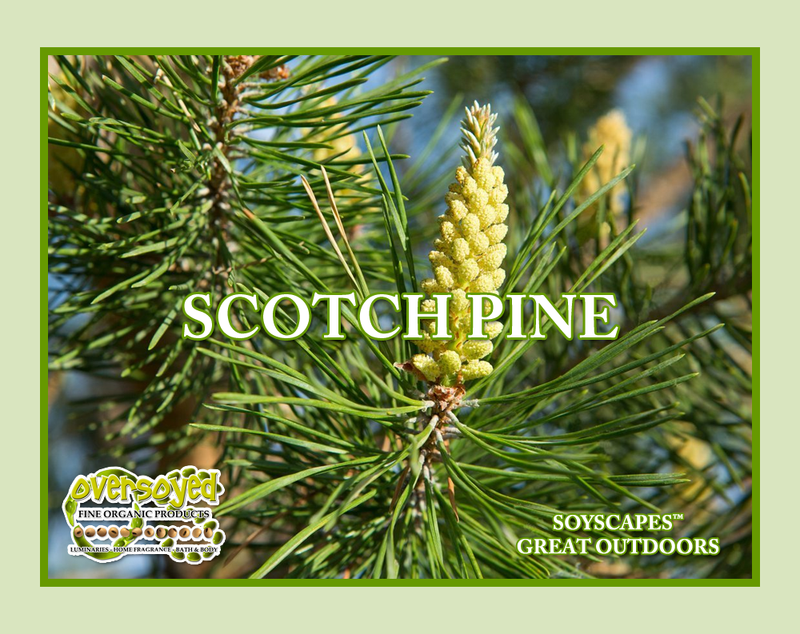 Scotch Pine Artisan Handcrafted Exfoliating Soy Scrub & Facial Cleanser