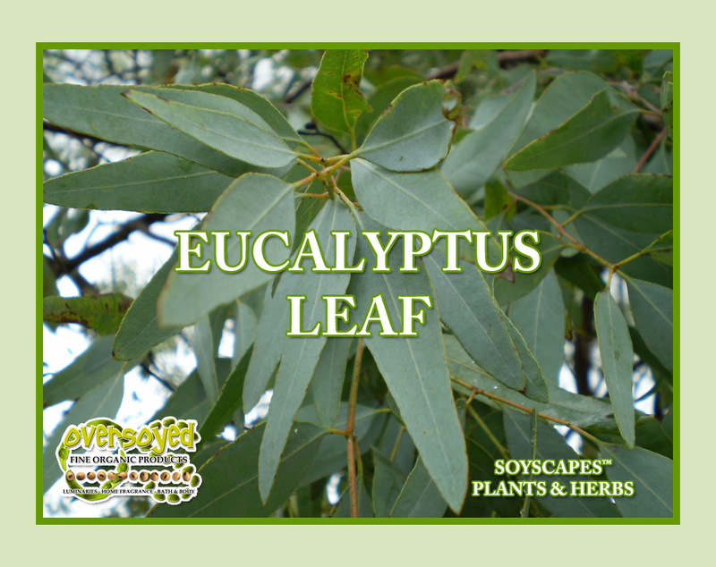 Eucalyptus Leaf Artisan Handcrafted European Facial Cleansing Oil