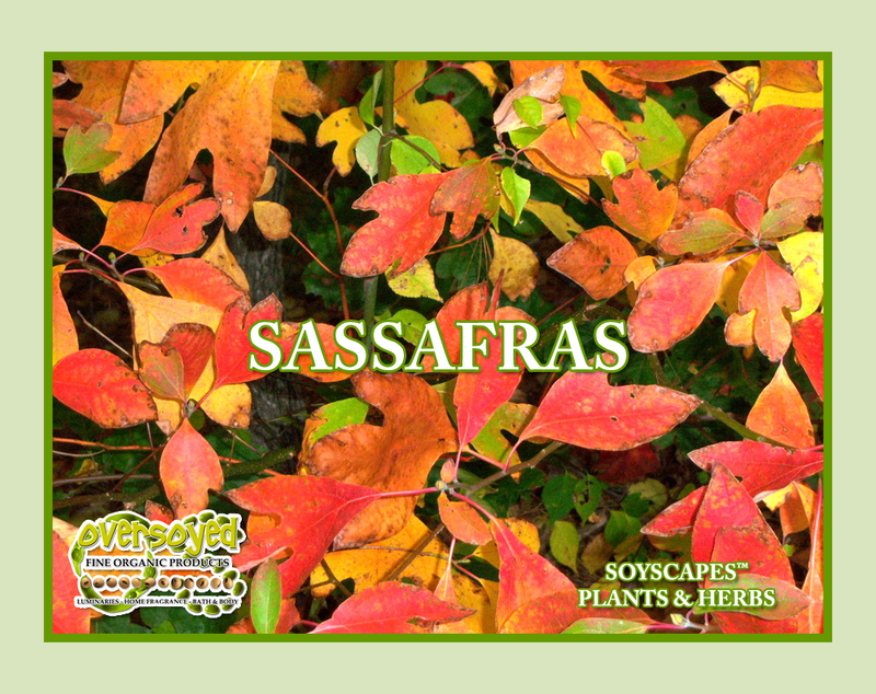 Sassafras Artisan Handcrafted Fragrance Warmer & Diffuser Oil