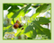Olive Leaf & Fig Poshly Pampered™ Artisan Handcrafted Deodorizing Pet Spray