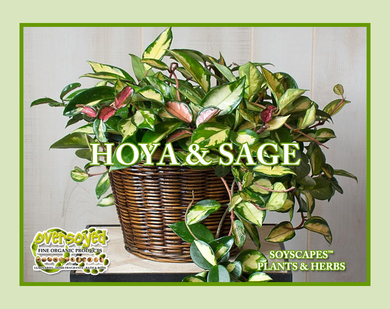 Hoya & Sage Artisan Handcrafted Fragrance Warmer & Diffuser Oil Sample